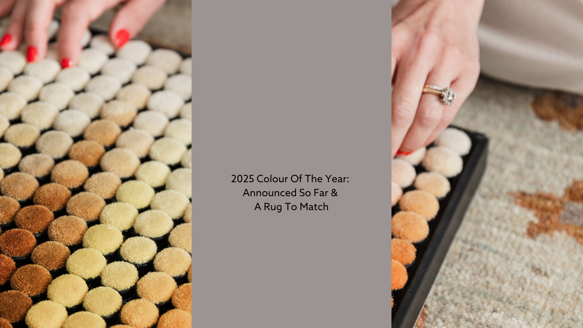 2025 Colour Of The Year Announced So Far & A Rug To Match Lilla Rugs
