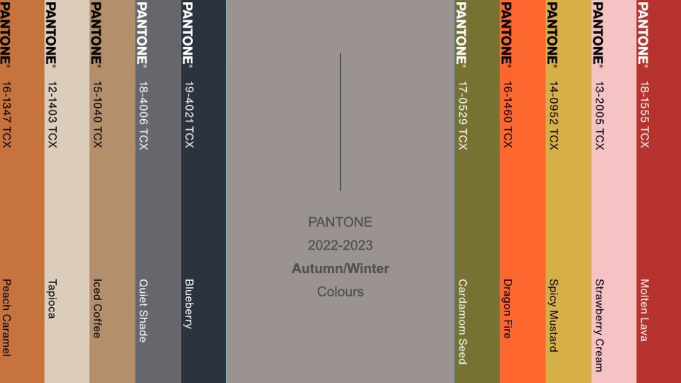 Over 10,000 Pantone Colours, What For?