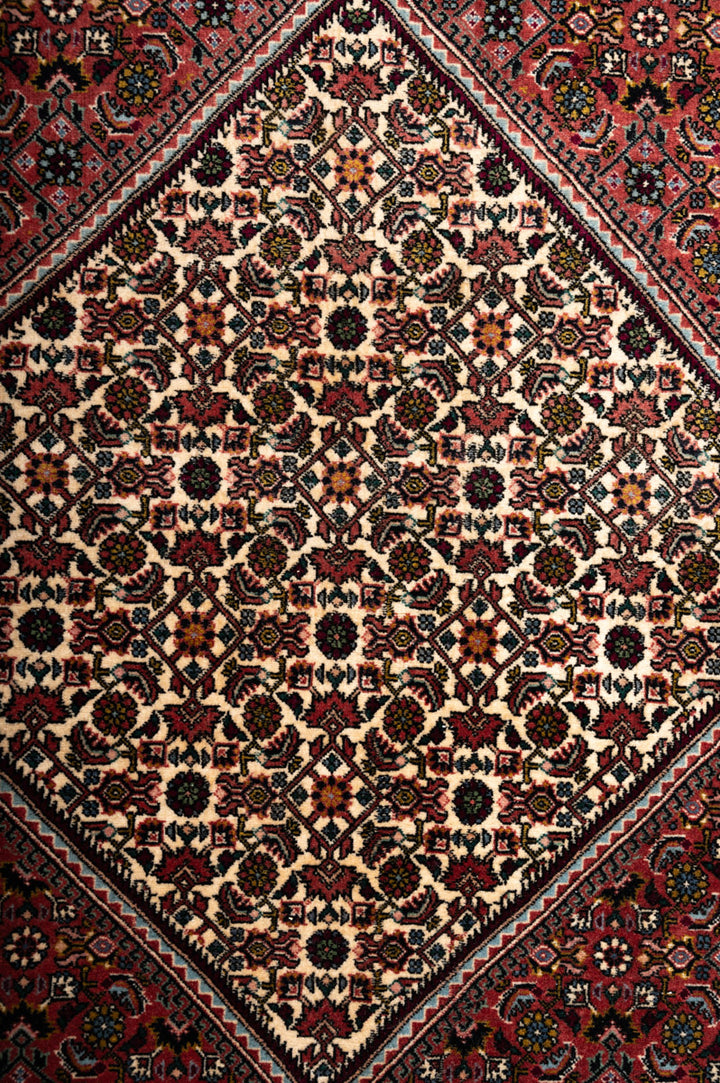 ABIA  Bidjar 251x247cm