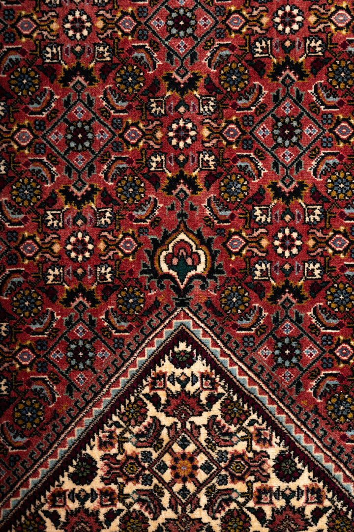 ABIA  Bidjar 251x247cm