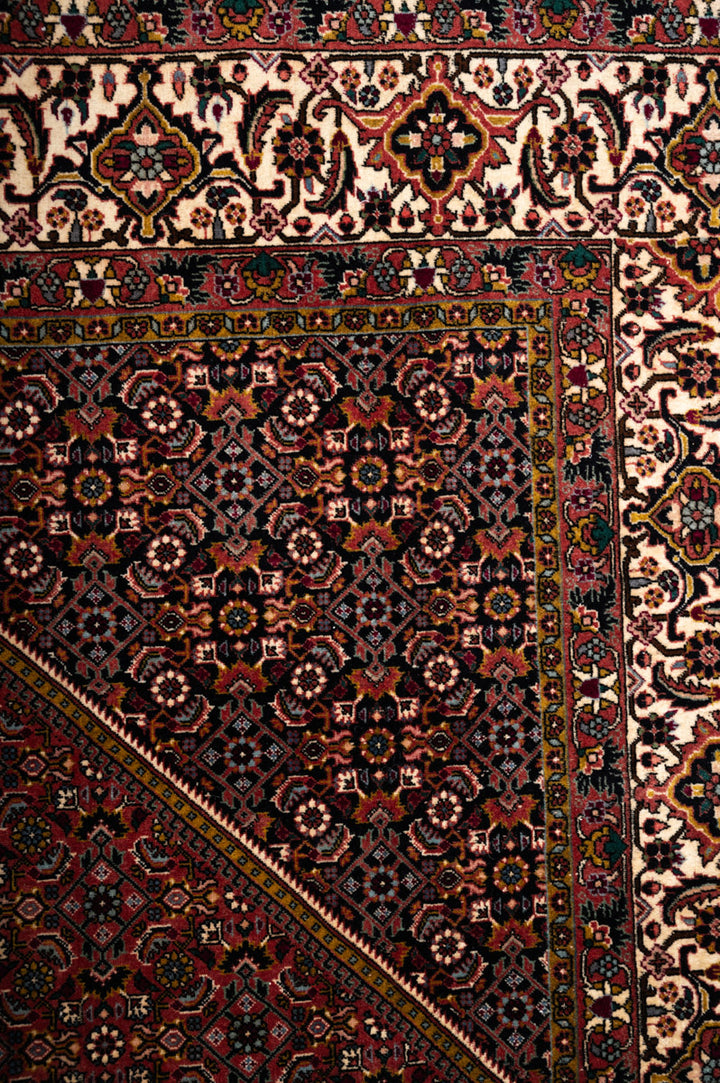 ABIA  Bidjar 251x247cm