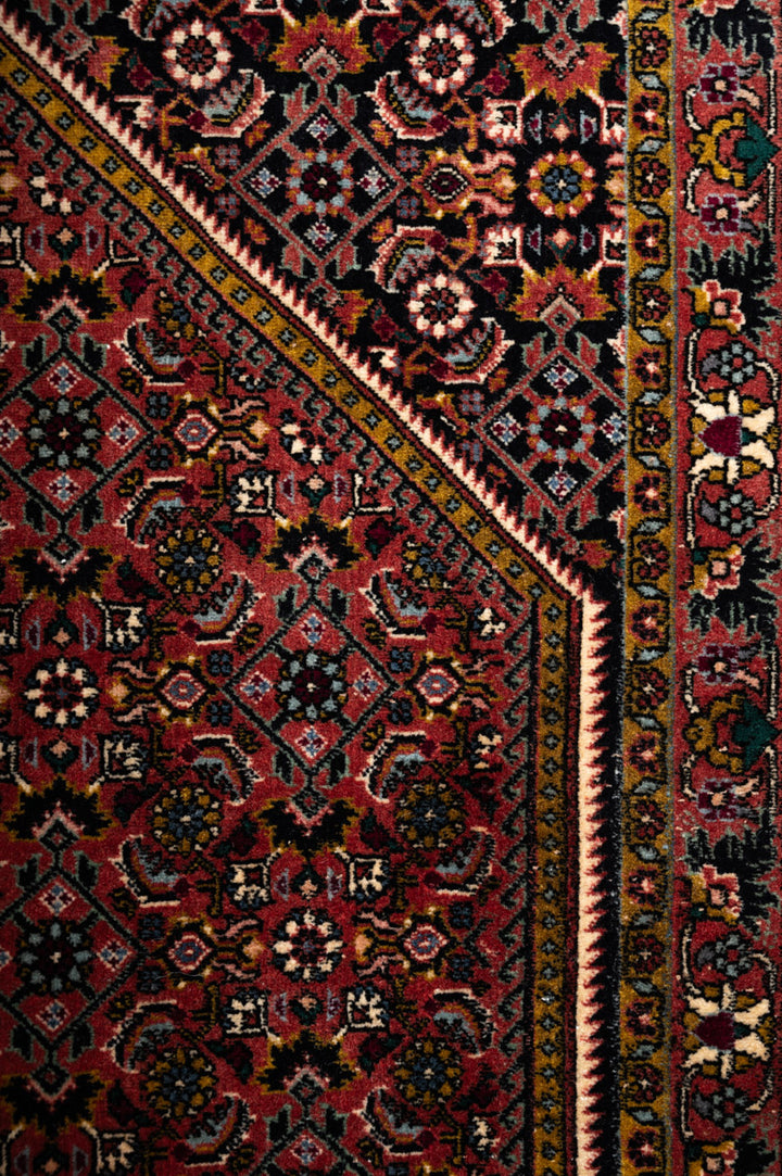 ABIA  Bidjar 251x247cm