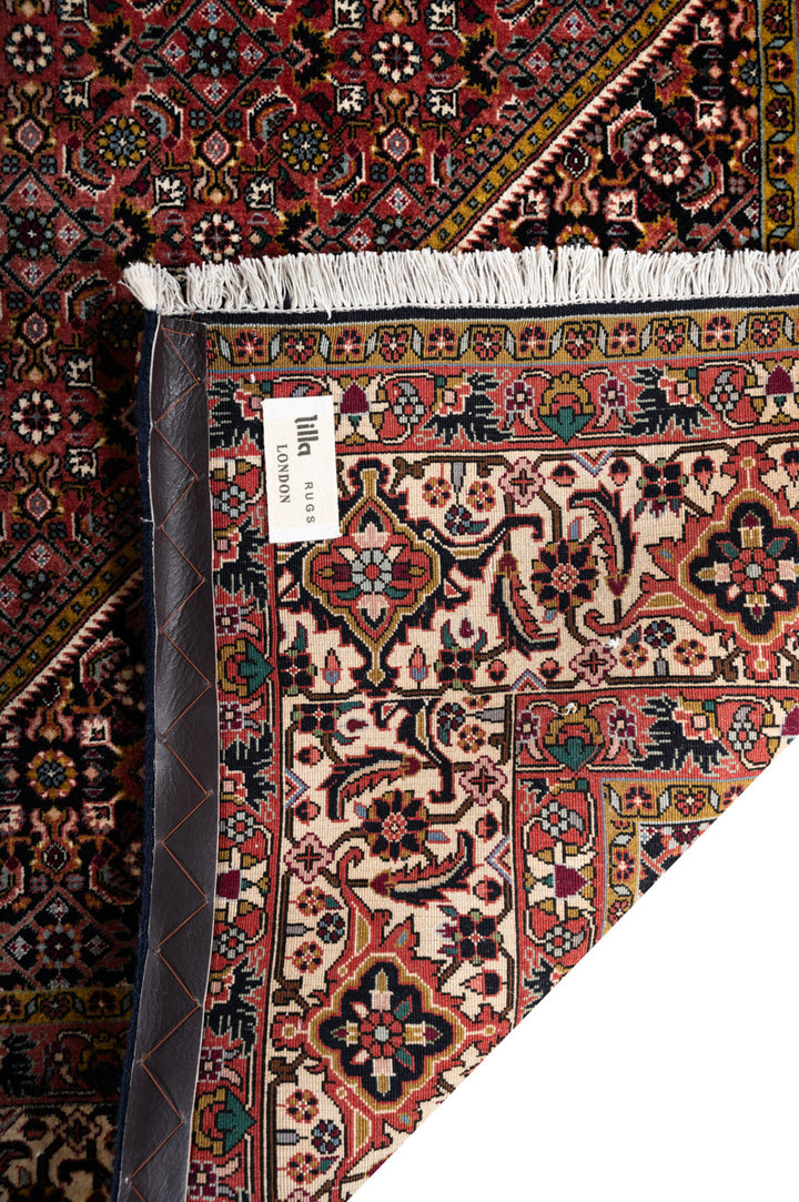 ABIA  Bidjar 251x247cm