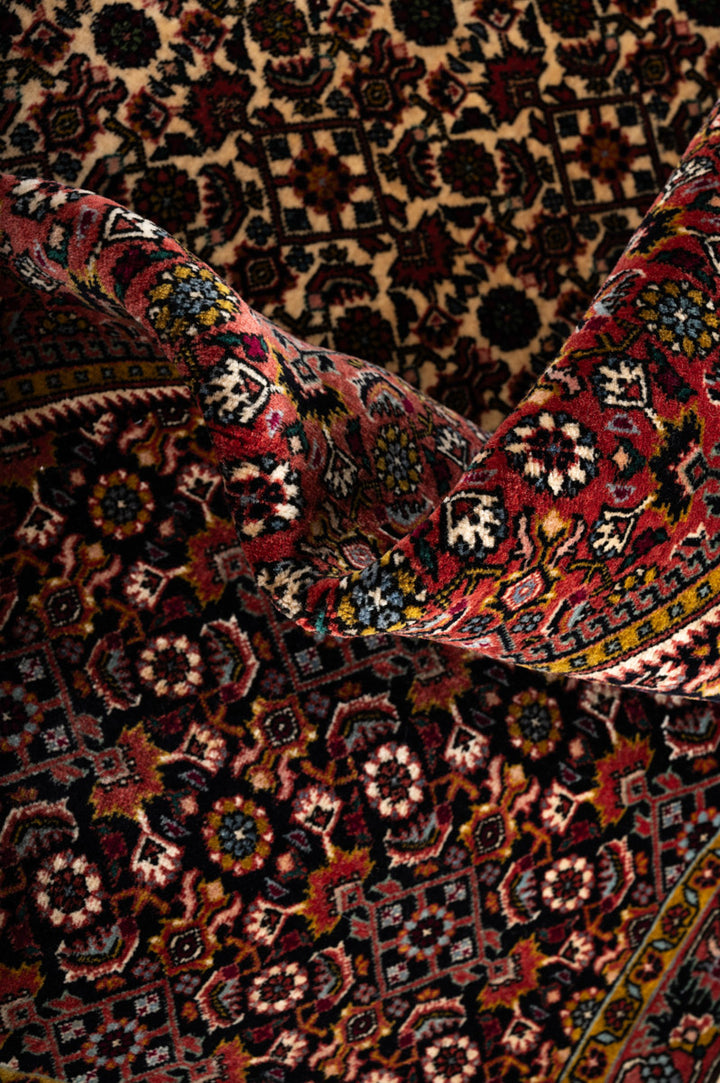ABIA  Bidjar 251x247cm