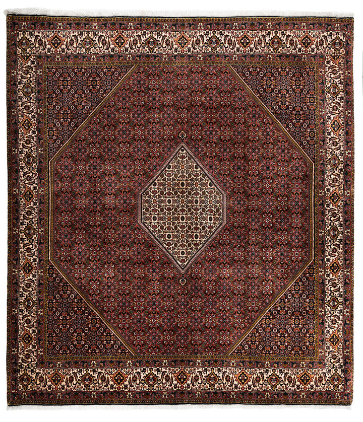 ABIA  Bidjar 251x247cm