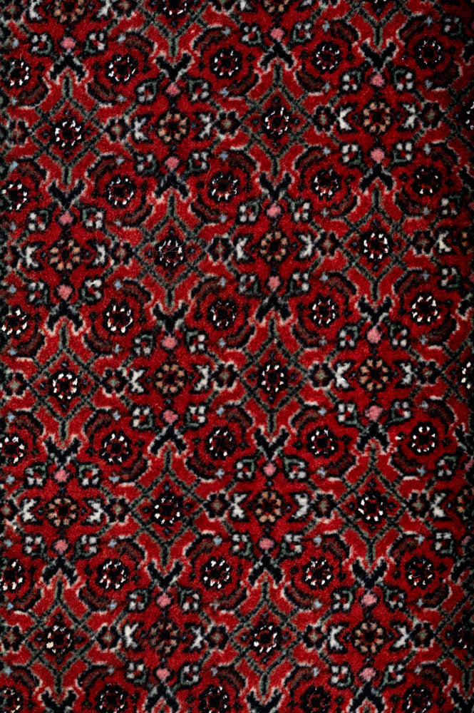 JACE Bidjar 218x153cm