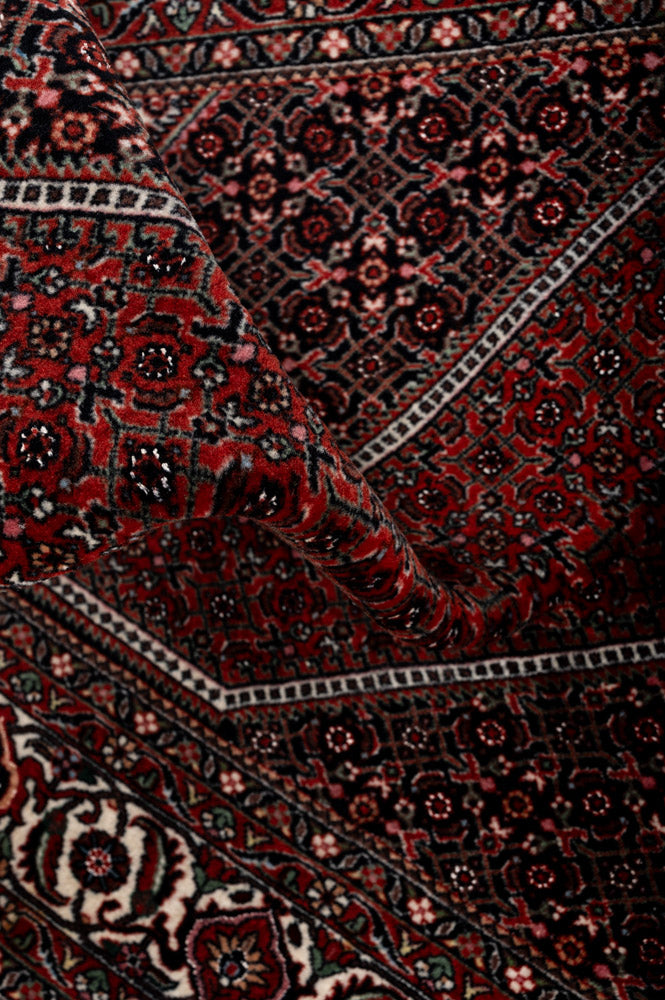 JACE Bidjar 218x153cm