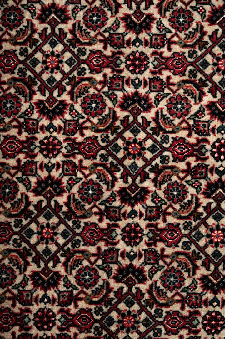ECHO Bidjar 234x154cm