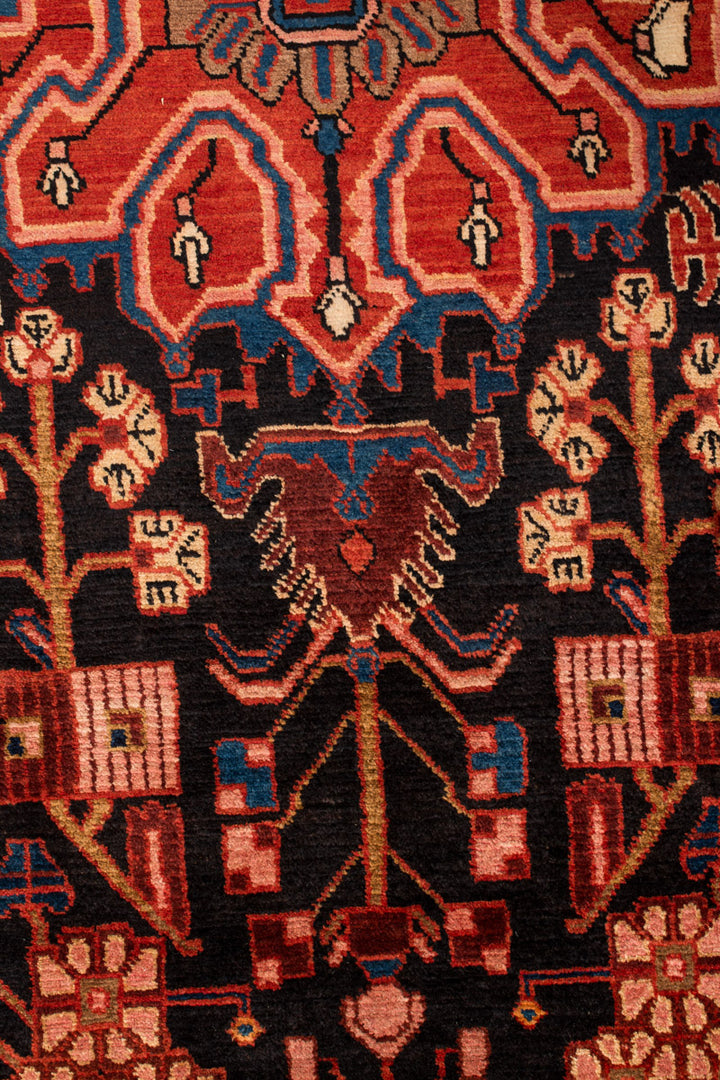 ZEVI Nahavand 342x178cm