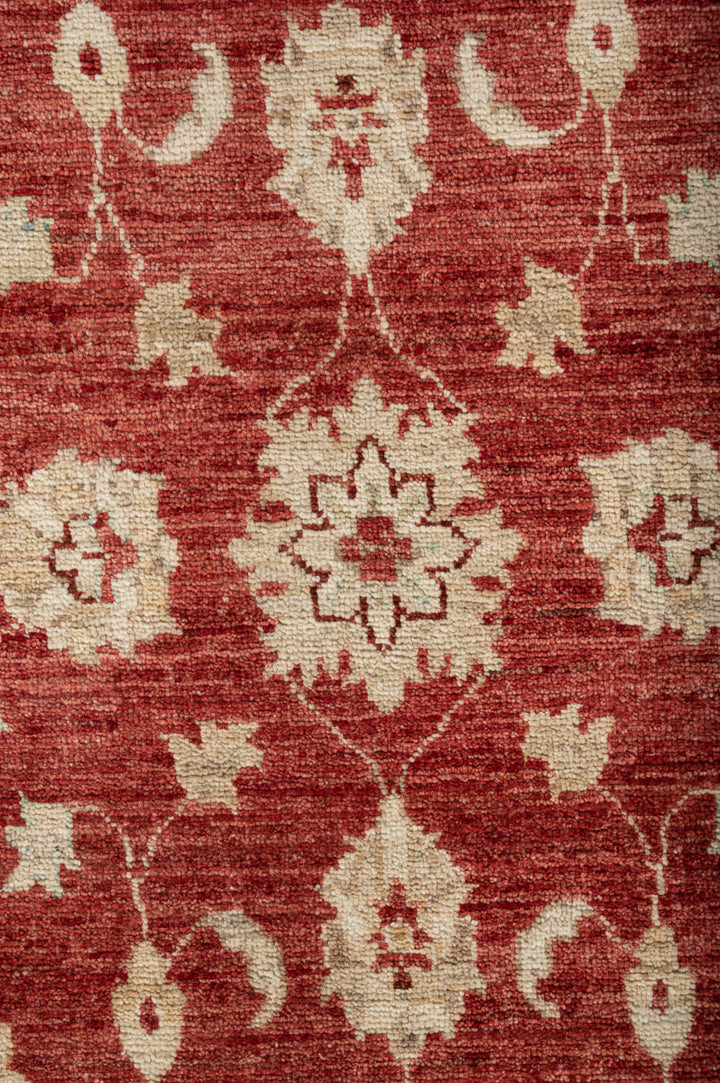 TIVIZiegler Royal 283x202cm