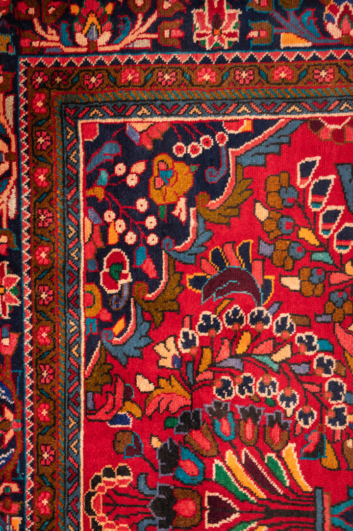 THANE Sarouk 314x213cm