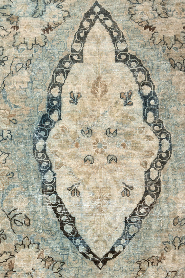 AALAM Vintage Distressed  Kerman 370x264cm
