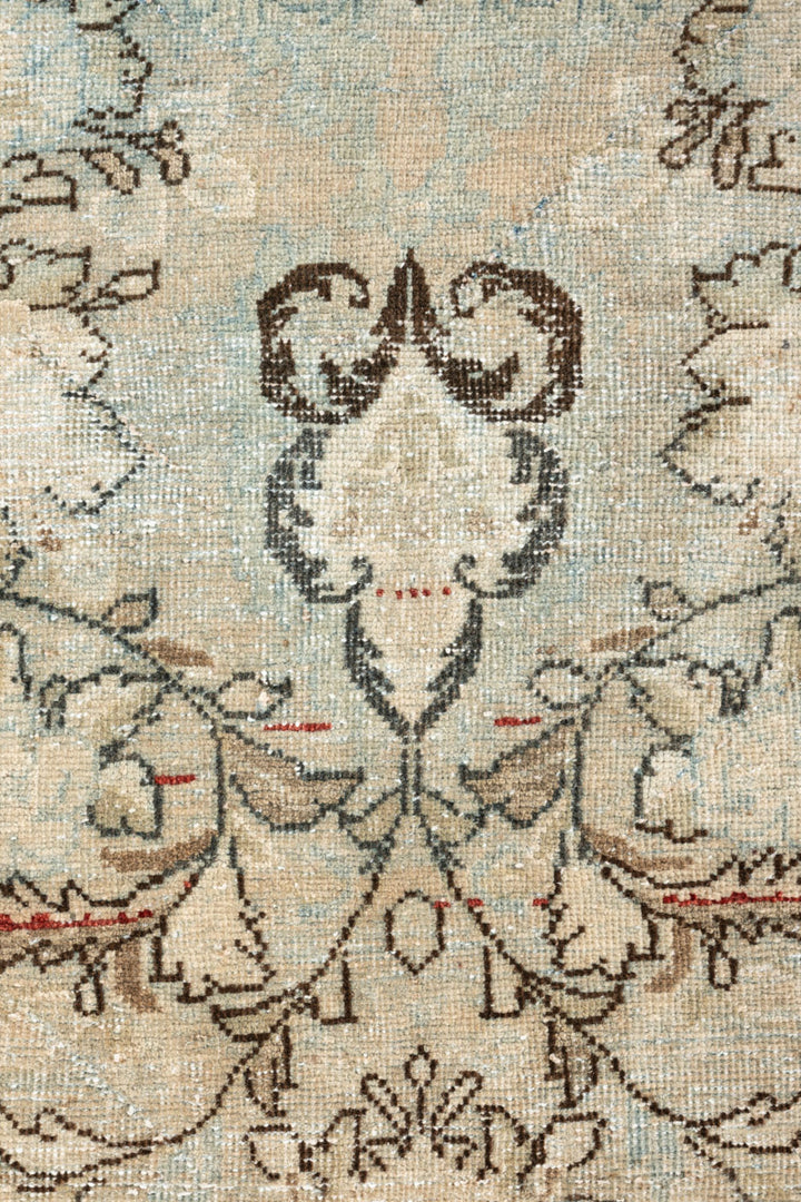 AALAM Vintage Distressed  Kerman 370x264cm