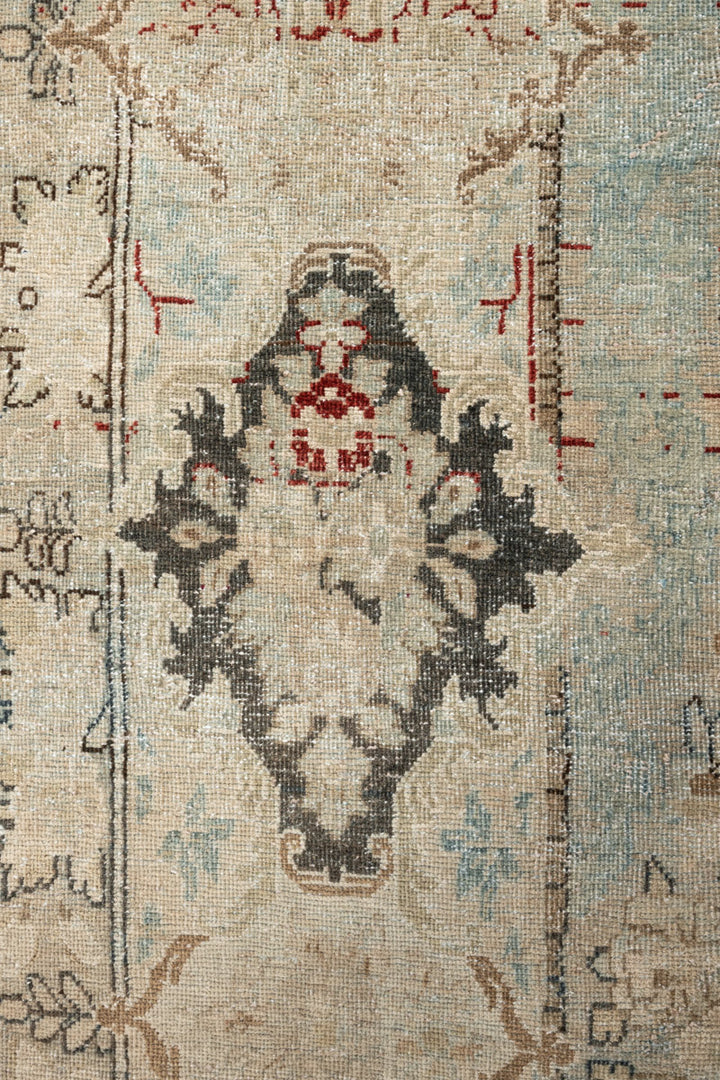 AALAM Vintage Distressed  Kerman 370x264cm