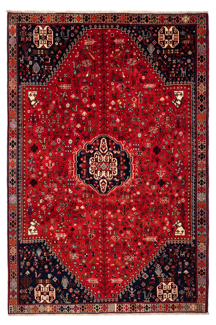 DARIUS Qashqai 302x214cm