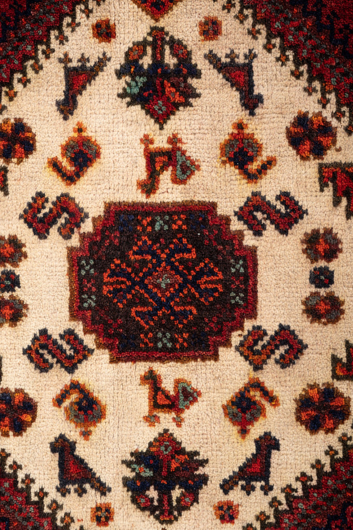 NIOMI Qashqai 305x213cm