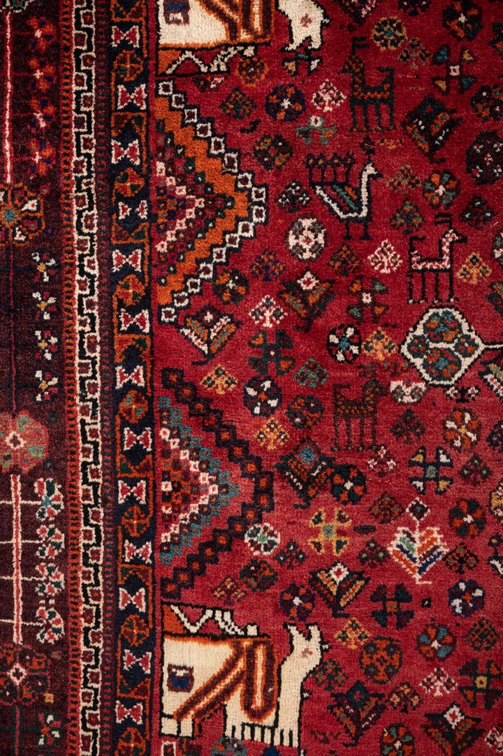 KACI Qashqai 303x214cm