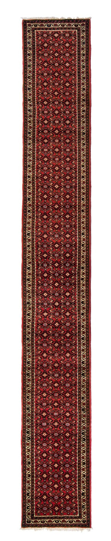 DONTE Hossein Abad Runner 576x65cm
