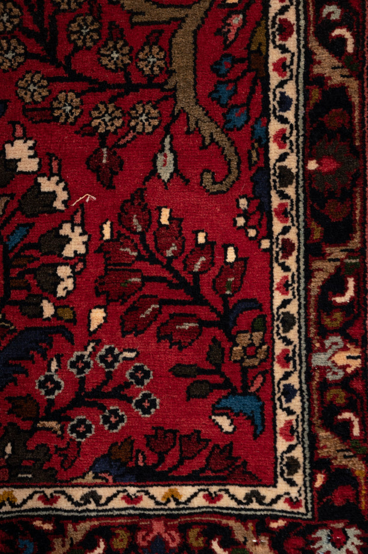 LALO Sarouk Runner 589x79cm