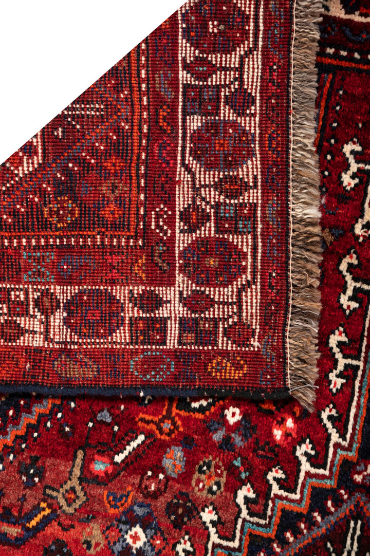 AMELIA Qashqai 254x162cm