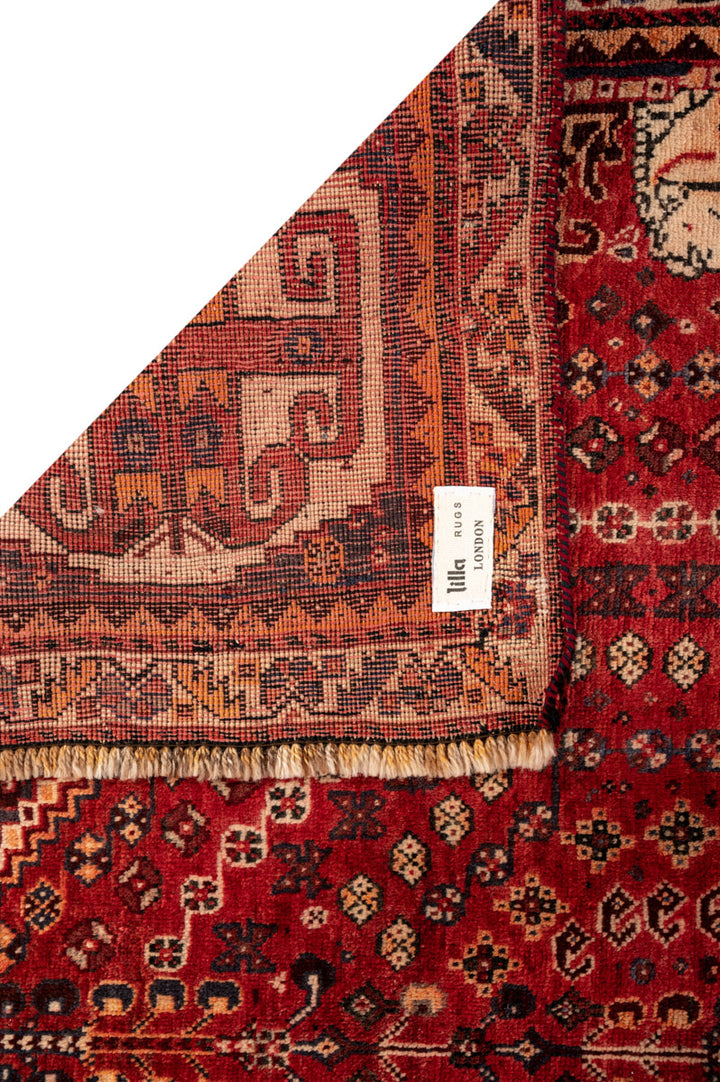 KABILI Qashqai 252x156cm