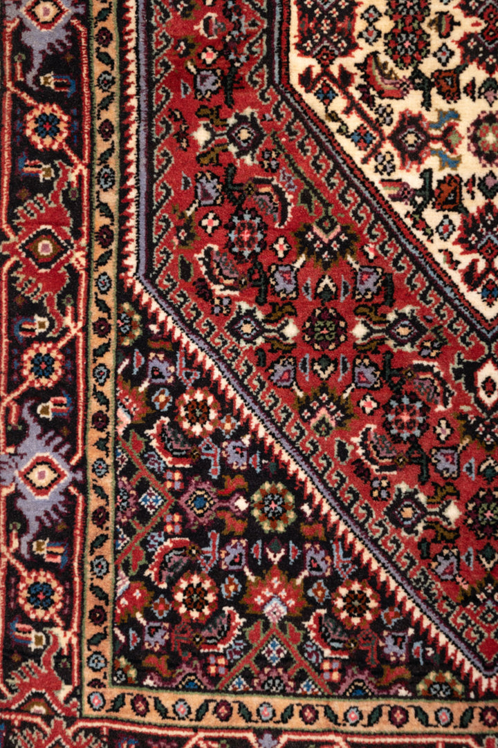 CACHET Bidjar 102x68cm