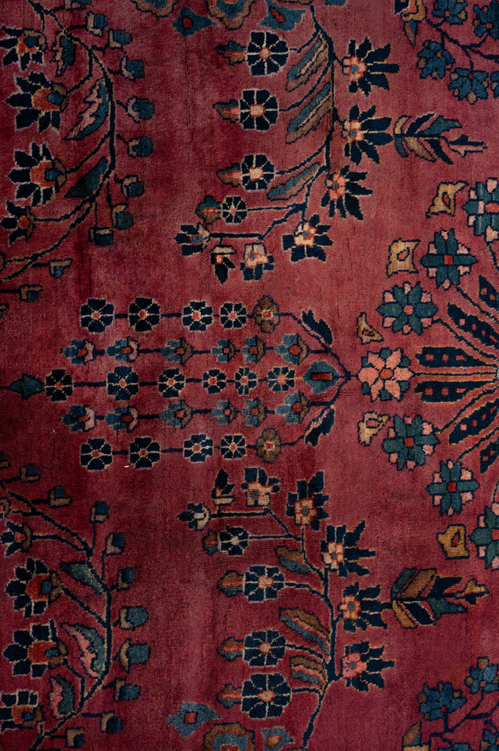 MARLOW Vintage Sarouk 662x380cm