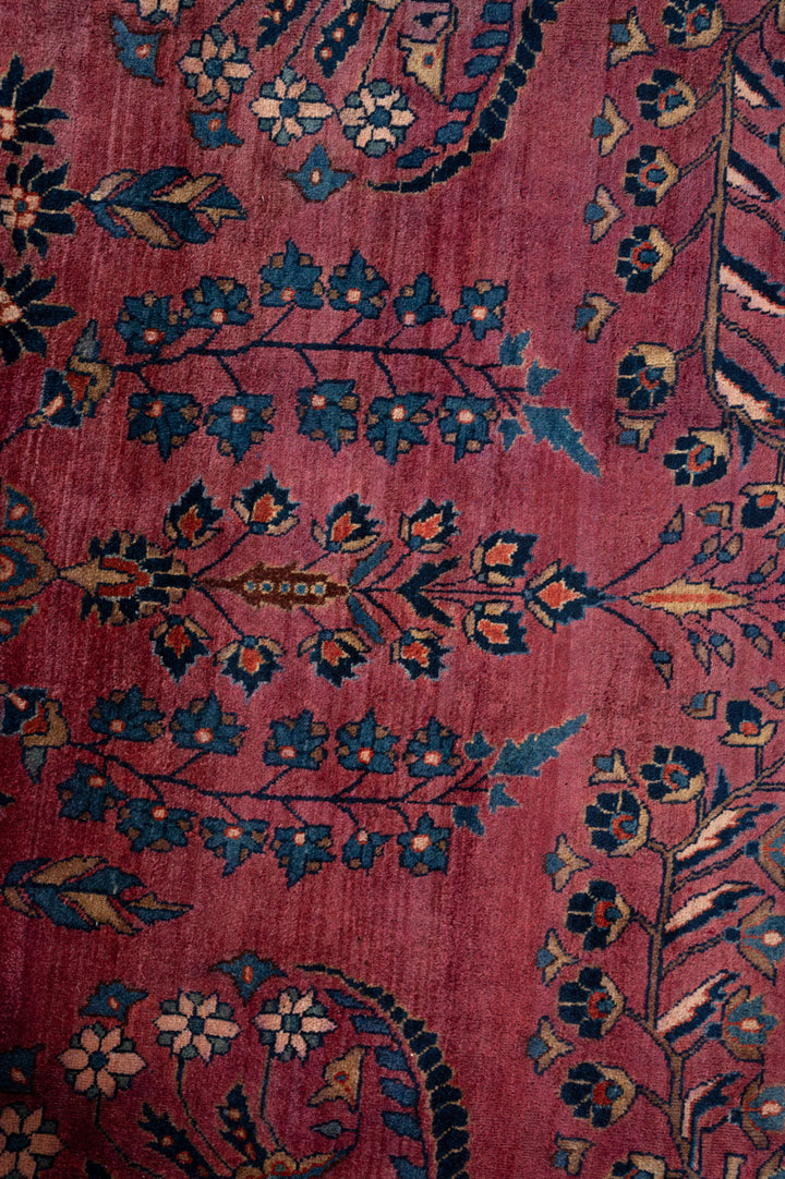 MARLOW Vintage Sarouk 662x380cm