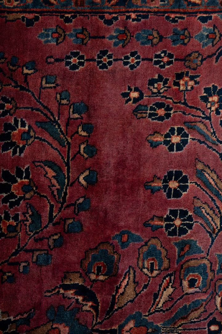 MARLOW Vintage Sarouk 662x380cm