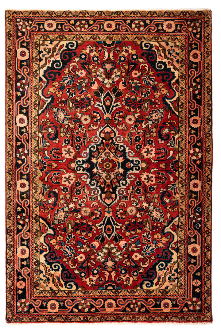 TAVIN Borchalou 244x165cm