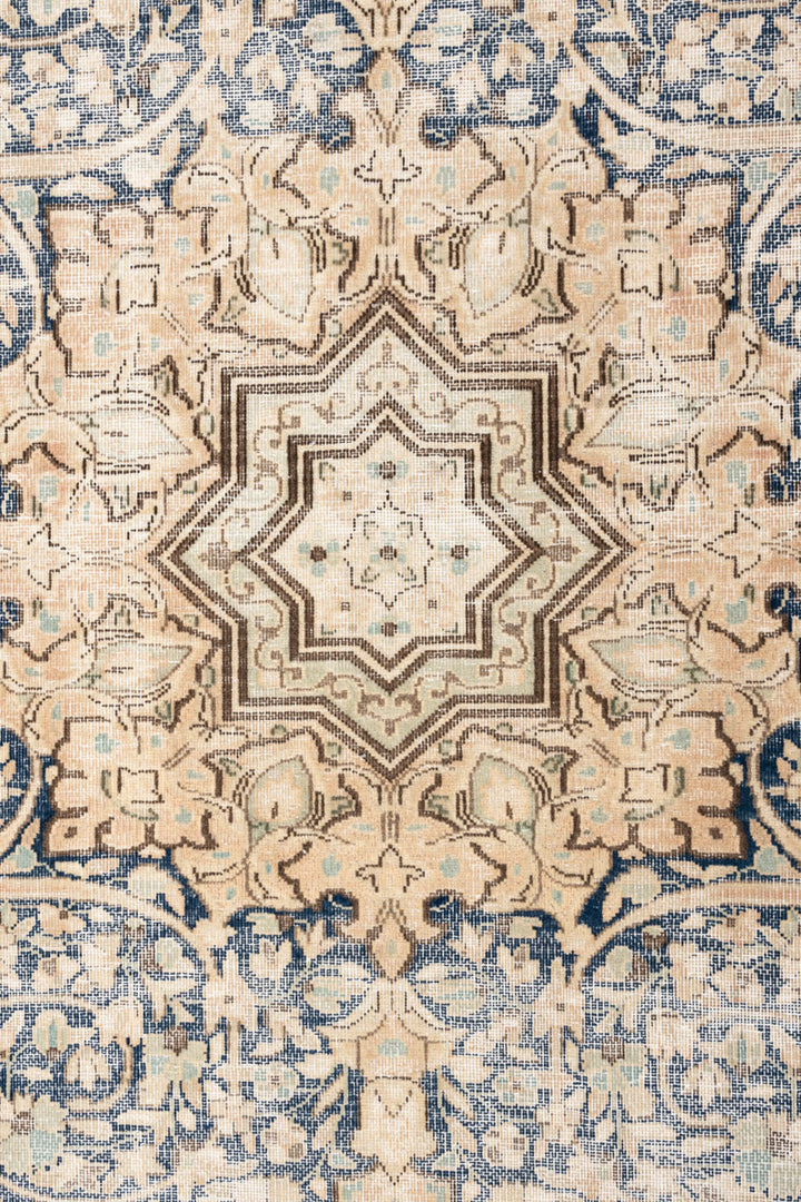 ADA Vintage Distressed  Kerman 266x175cm