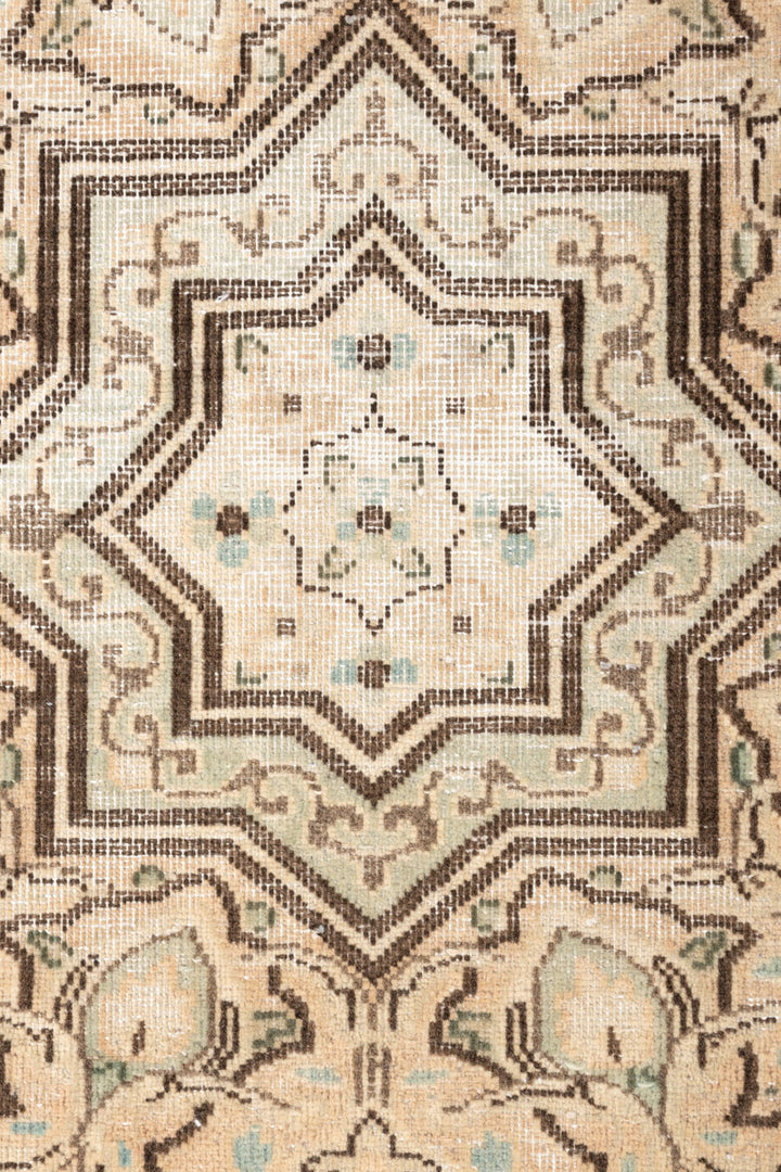 ADA Vintage Distressed  Kerman 266x175cm
