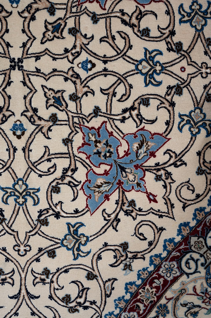 YASMA Nain 6La 494x484cm