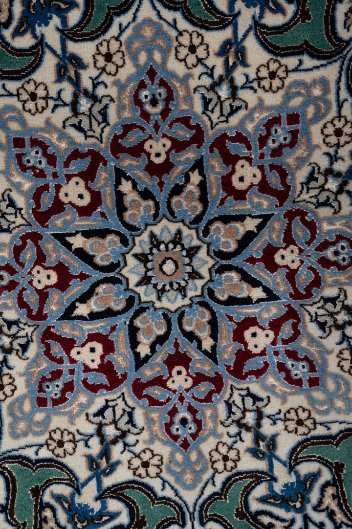 YASMA Nain 6La 494x484cm