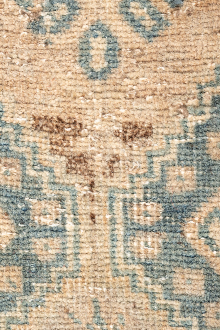 AFIA Vintage Distressed Afshar 222x163cm