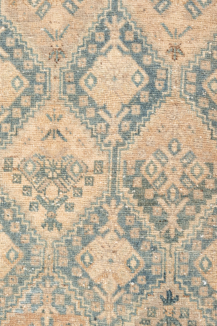 AFIA Vintage Distressed Afshar 222x163cm