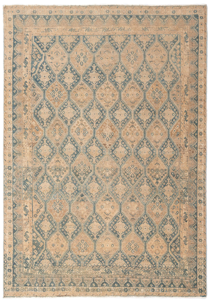 AFIA Vintage Distressed Afshar 222x163cm