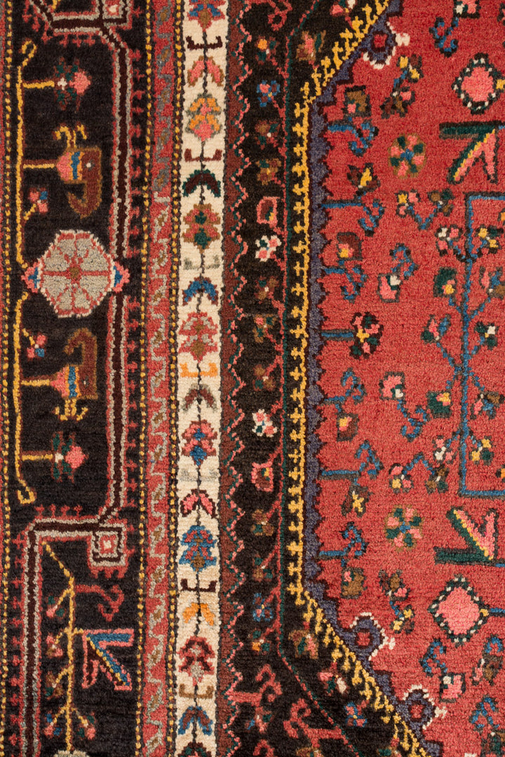 ACSAH Tuyserkan 341x161cm