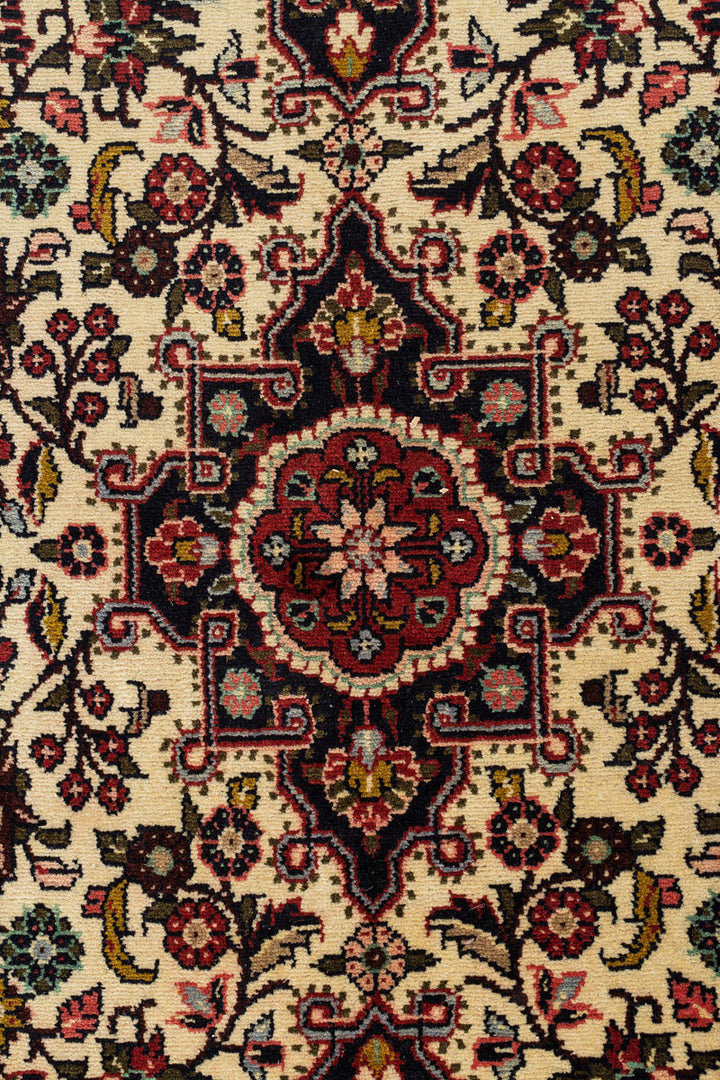 KAILANI Sarouk Runner 672x78cm