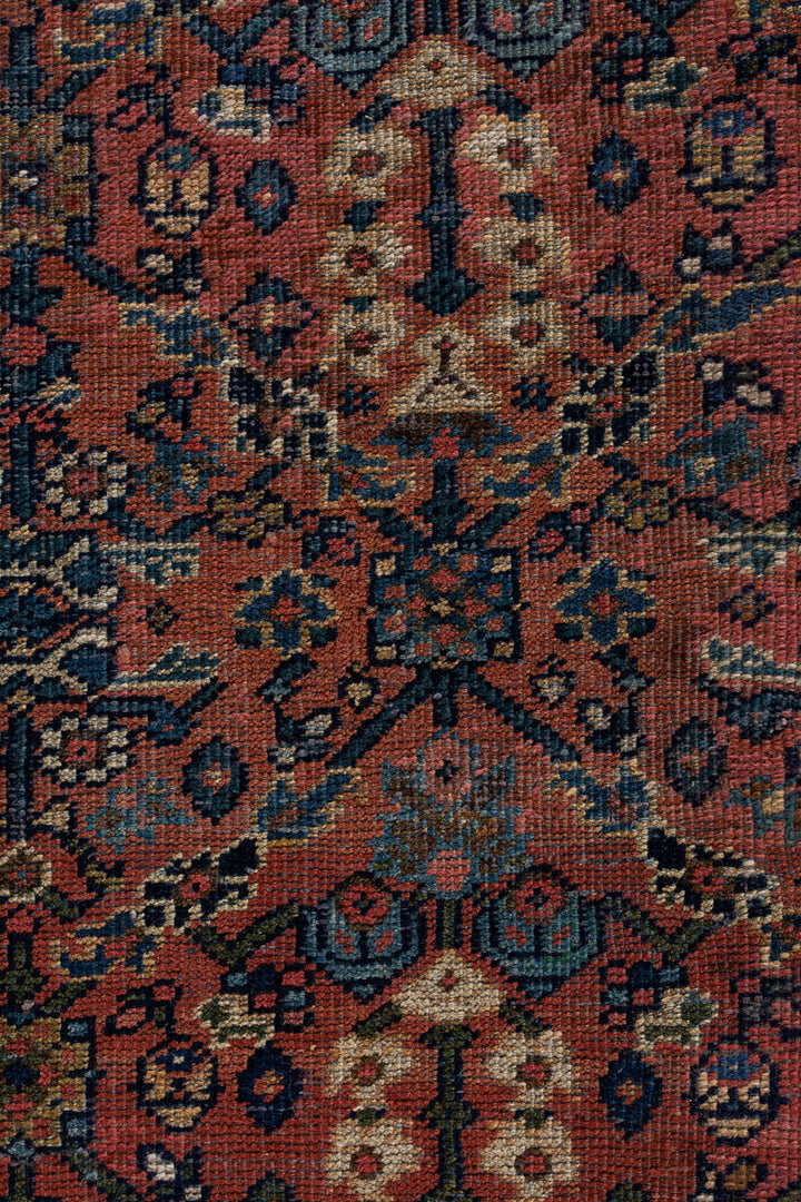 HAVEN Antique Meshke Abad 547x350cm