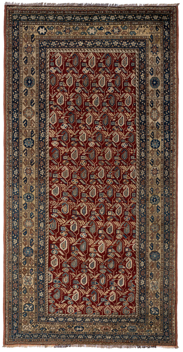 AINOA Vintage Caucasian Shirvan 255x130cm