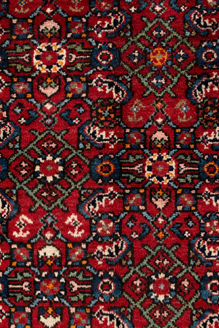 VOGUE Hossein Abad 350x264cm