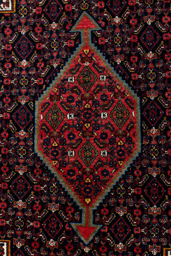 ALEXIS Vintage Senneh 258x169cm