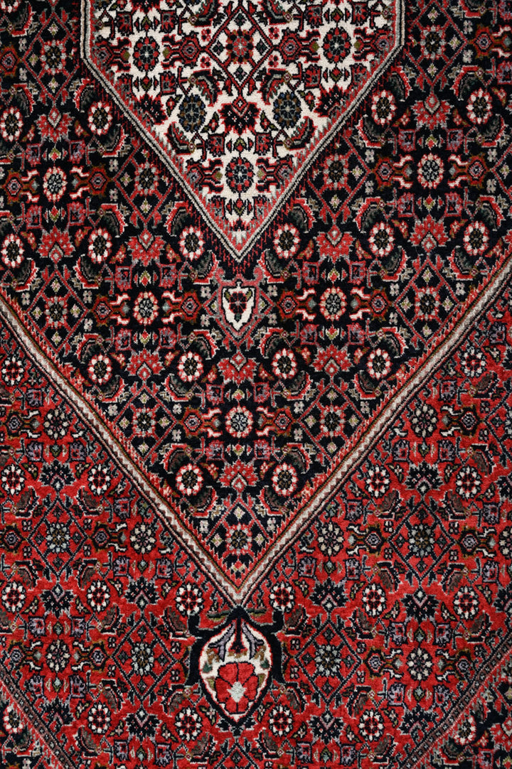 LUCIE Bidjar 336x260cm