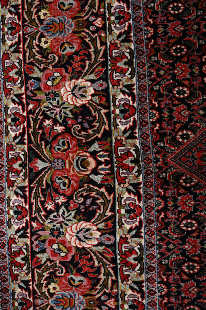 LUCIE Bidjar 336x260cm