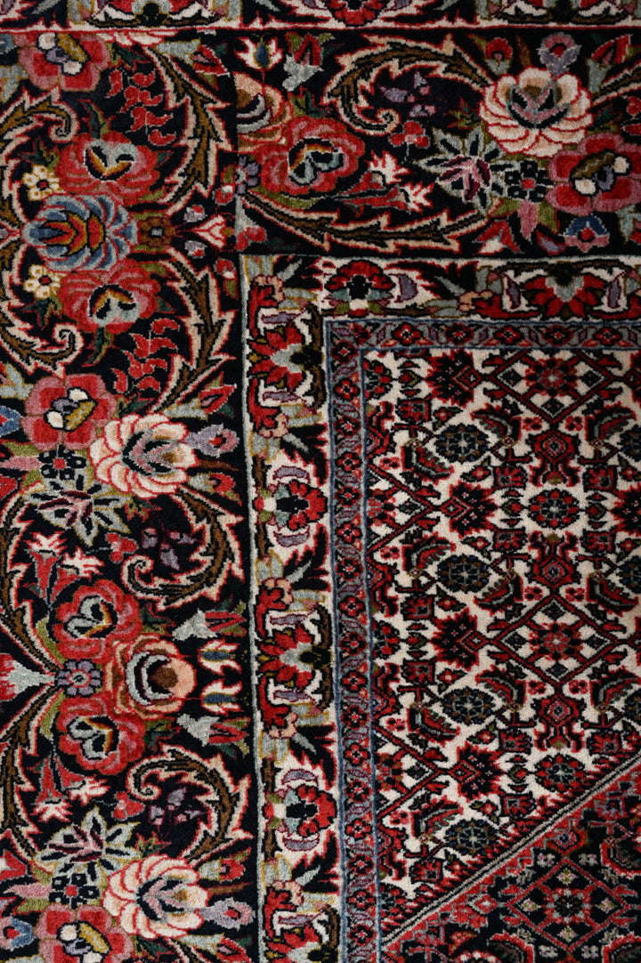 LUCIE Bidjar 336x260cm
