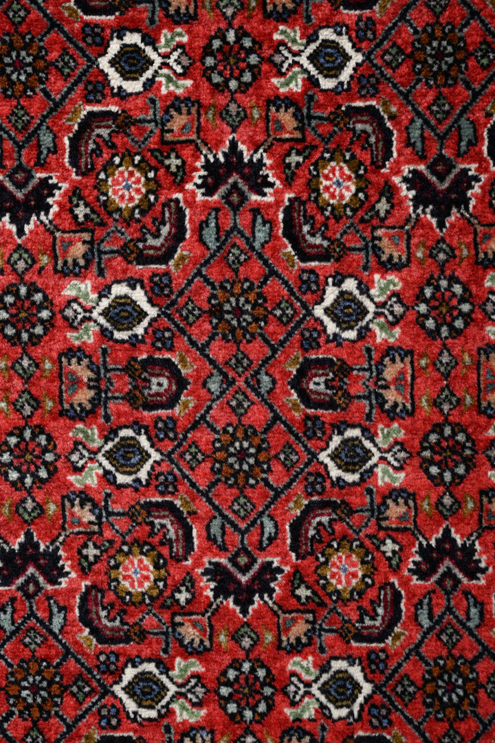 RUBIE Bidjar 296x251cm