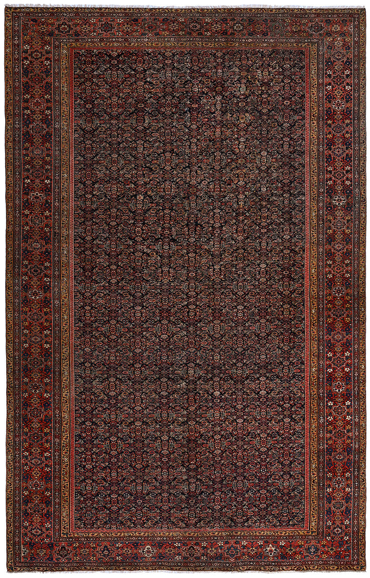 AINSLEE Antique Farahan 535x355cm