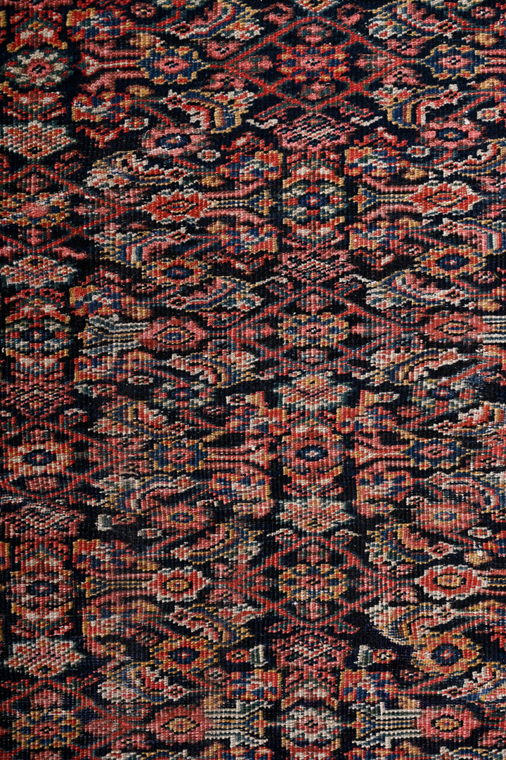AINSLEE Antique Farahan 535x355cm