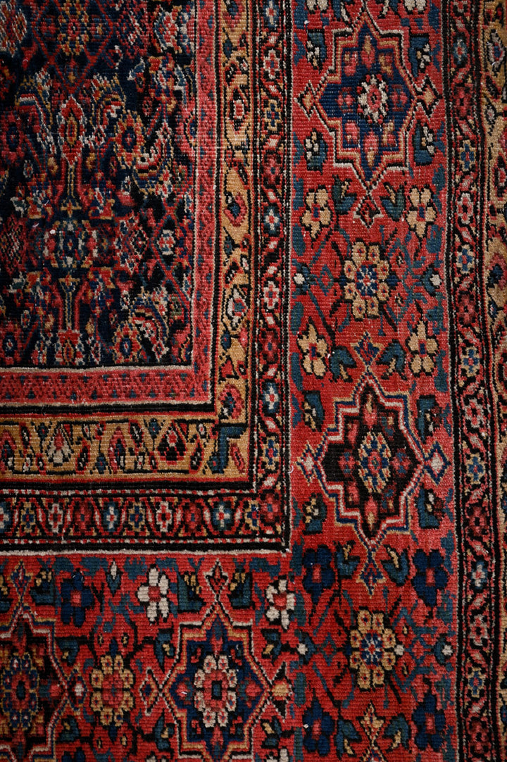AINSLEE Antique Farahan 535x355cm